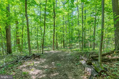 Tbd Comptons Rd, Castleton, VA 22716 - Photo 29