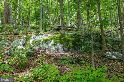 Tbd Comptons Rd, Castleton, VA 22716 - Photo 23