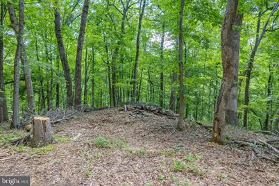 Tbd Comptons Rd, Castleton, VA 22716 - Photo 11