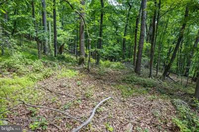 Tbd Comptons Rd, Castleton, VA 22716 - Photo 19