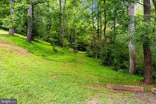 9406 Obannons Mill Rd, Boston, VA 22713 - Photo 33
