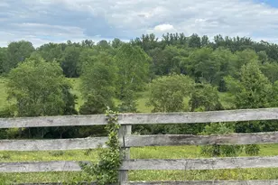 14105 Lee Hwy, Amissville, VA 20106 - Photo 3