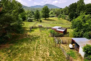 13782 Crst Hl Rd, Flint Hill, VA 22627 - Photo 3
