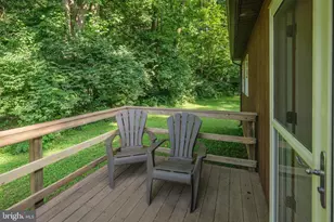 16 Head Waters Rd, Chester Gap, VA 22623 - Photo 43