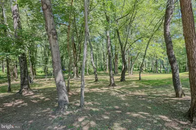 14555 Lee Highway, Amissville, VA 20106 - Photo 45