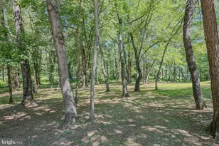 14555 Lee Hwy, Amissville, VA 20106 - Photo 45
