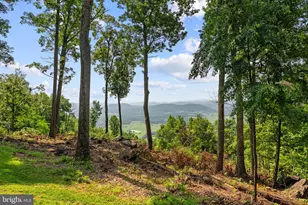 362 Rediviva Ln, Washington, VA 22747 - Photo 101