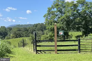 439 Rudasill Rd, Woodville, VA 22749 - Photo 55