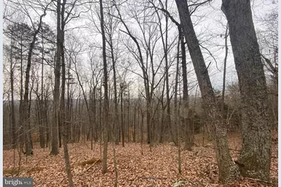 0 Turkey Ridge Road, Castleton, VA 22716 - Photo 1
