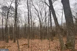 0 Turkey Ridge Rd, Castleton, VA 22716 - Photo 1