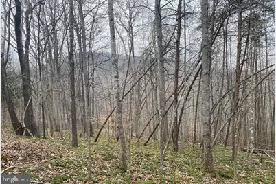 0 Turkey Ridge Road, Castleton, VA 22716 - Photo 9