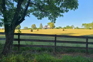 65 Dennis Rd, Castleton, VA 22716 - Photo 5