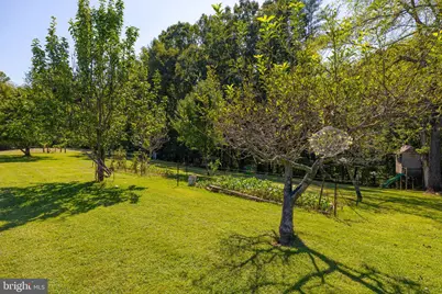 15 La Lune Lane, Sperryville, VA 22740 - Photo 51