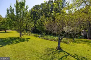 15 La Lune Ln, Sperryville, VA 22740 - Photo 51