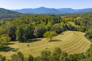 15 La Lune Ln, Sperryville, VA 22740 - Photo 63