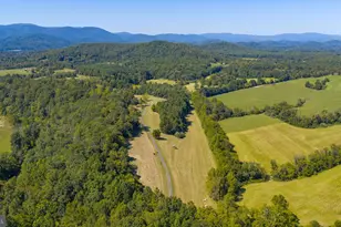 15 La Lune Ln, Sperryville, VA 22740 - Photo 81