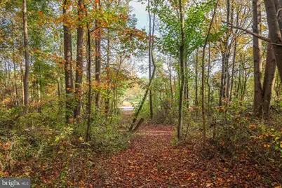 Tbd Battle Mountain Road, Amissville, VA 20106 - Photo 19