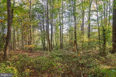 Tbd Battle Mountain Road, Amissville, VA 20106 - Photo 11