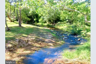 Tiger Valley Road, Washington, VA 22747 - Photo 3