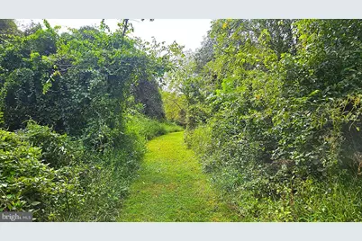 558 Gay Street, Washington, VA 22747 - Photo 55