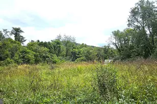 558 Gay St, Washington, VA 22747 - Photo 53