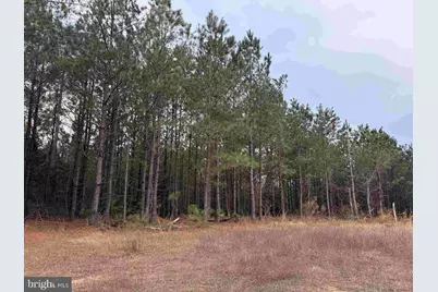 Dogwood Drive (Tract: Tanager Et2-2006), Farnham, VA 22460 - Photo 7