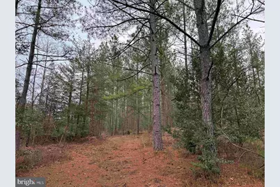 Dogwood Drive (Tract: Tanager Et2-2006), Farnham, VA 22460 - Photo 11