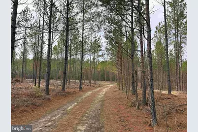 Calvary Church Road (Tract: Tanager Et2-2011), Warsaw, VA 22572 - Photo 3