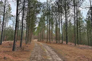 Calvary Church Road (Tract: Tanager Et2-2011), Warsaw, VA 22572 - Photo 1