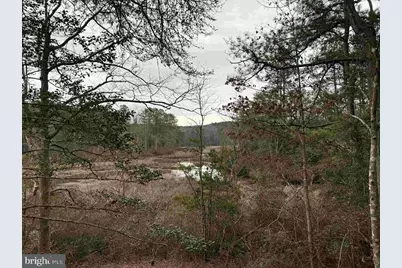 Calvary Church Road (Tract: Tanager Et2-2011), Warsaw, VA 22572 - Photo 11