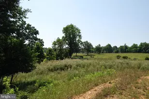 220 Stotelmyer Ln, Martinsburg, WV 25405 - Photo 55