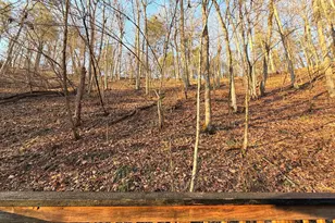 3729 Buck Hill Rd, Hedgesville, WV 25427 - Photo 25