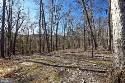 Lot 25 Vixen Lane, Gerrardstown, WV 25420 - Photo 7