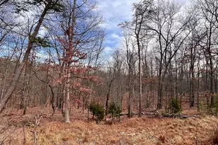 Lot 25 Nemacolin Trail, Hedgesville, WV 25427 - Photo 1