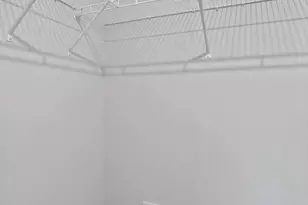 274 Ludgate Mnr, Falling Waters, WV 25419 - Photo 13