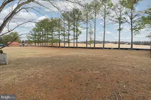 151 Tenderheart, Falling Waters, WV 25419 - Photo 35