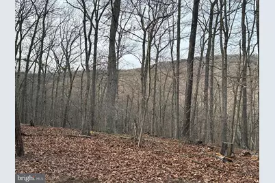 Lot 46 Pee Wee Lane, Hedgesville, WV 25427 - Photo 55