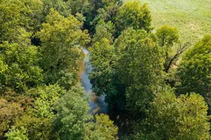 446 Broomgrass Way, Gerrardstown, WV 25420 - Photo 17