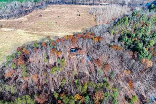 446 Broomgrass Way, Gerrardstown, WV 25420 - Photo 49