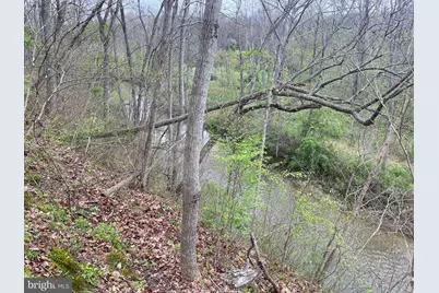 Lot B Specks Run Road, Bunker Hill, WV 25413 - Photo 3