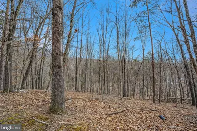 292 Big Park Road, Hedgesville, WV 25427 - Photo 57