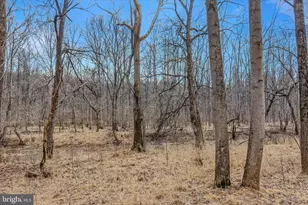 292 Big Park Rd, Hedgesville, WV 25427 - Photo 59