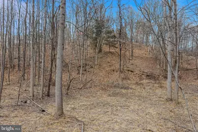 292 Big Park Road, Hedgesville, WV 25427 - Photo 61