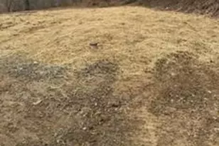 5111 Apple Harvest Dr, Gerrardstown, WV 25420 - Photo 1