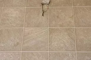 319 Pendleton Dr, Martinsburg, WV 25401 - Photo 3