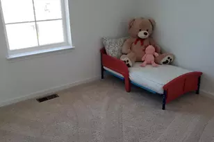 26 Colchester Ct, Bunker Hill, WV 25413 - Photo 19