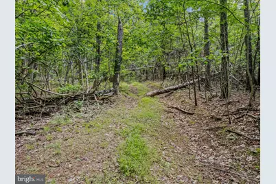 Tract 2 Grecian Lane, Hedgesville, WV 25427 - Photo 51
