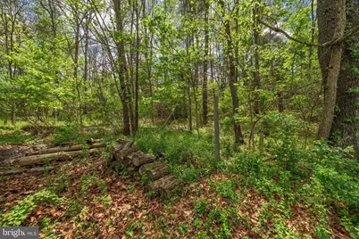 215 Ramblin Rose Lane, Martinsburg, WV 25404 - Photo 51