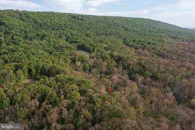 455 Huckleberry Drive, Gerrardstown, WV 25420 - Photo 49