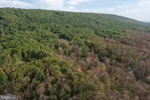 455 Huckleberry Dr, Gerrardstown, WV 25420 - Photo 49